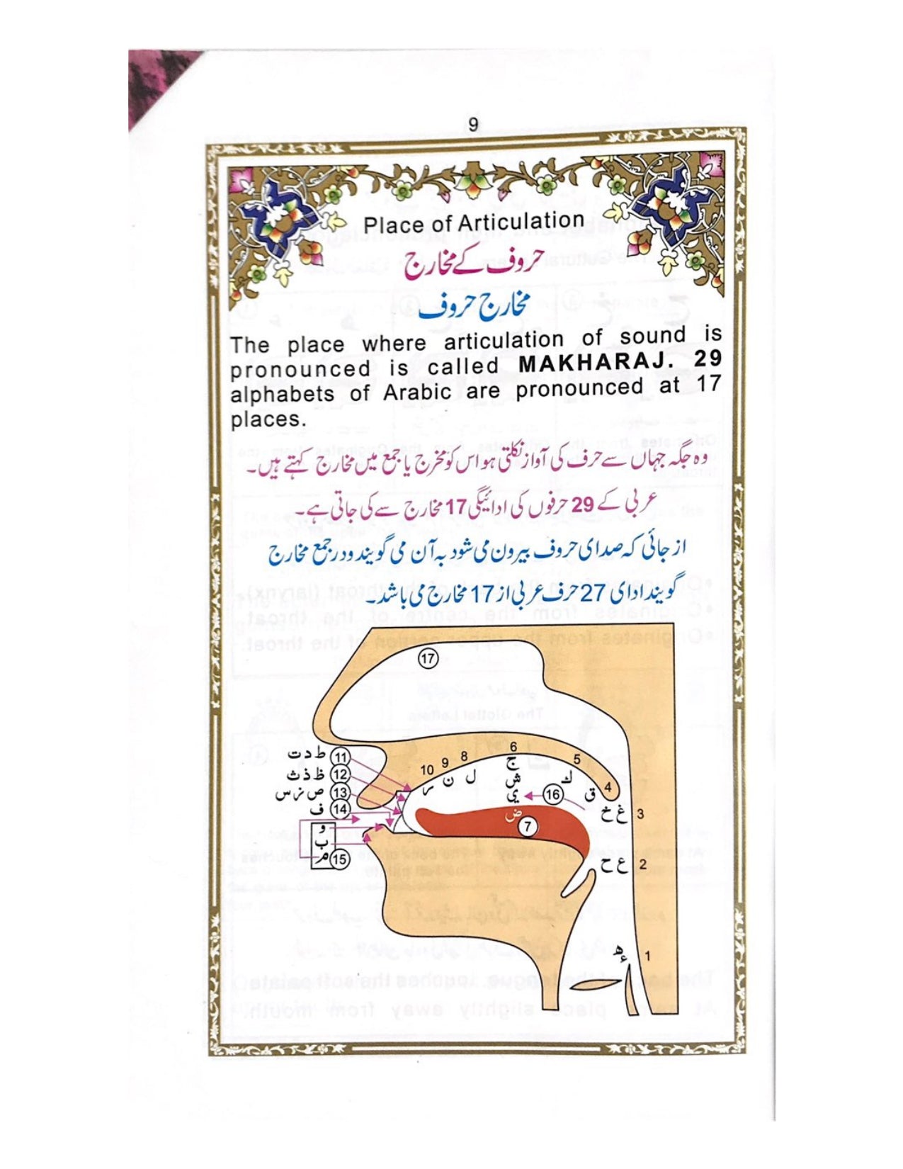 HOLY QURAN COLOUR CODED - aljareer online