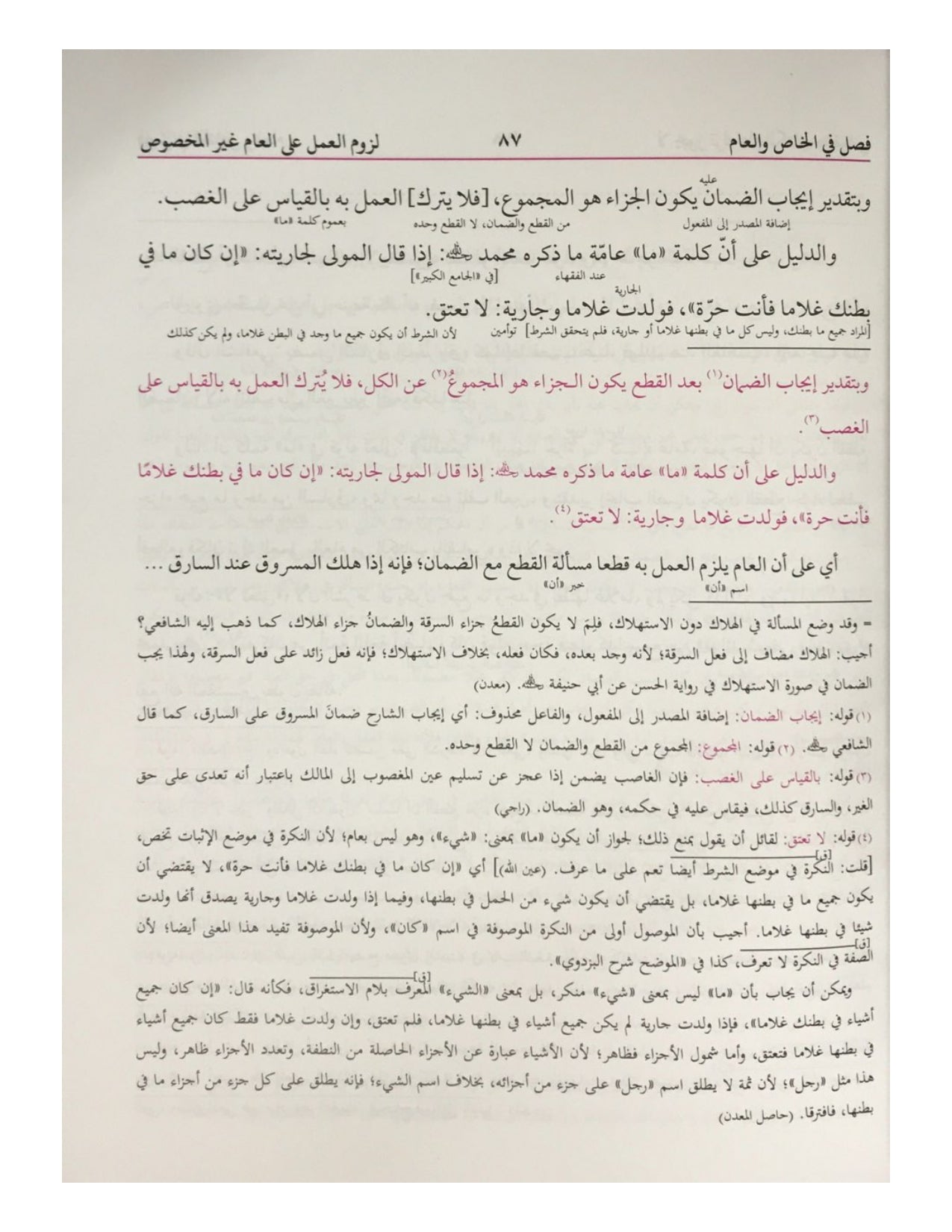 USOOL AS-SHASHI MA'A FUSOOLUL HAWASHI (BUSHRA) أصول الشاشي مع فصول الحواشي - aljareer online